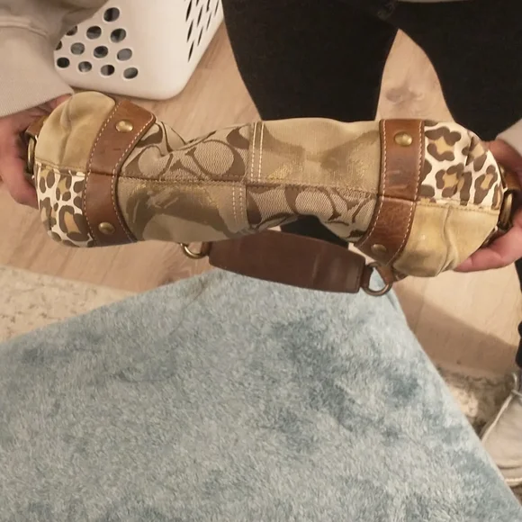 Coach Carly - Picture 5 of 6